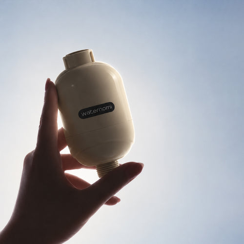 Waternomi shower filter held up against the sky